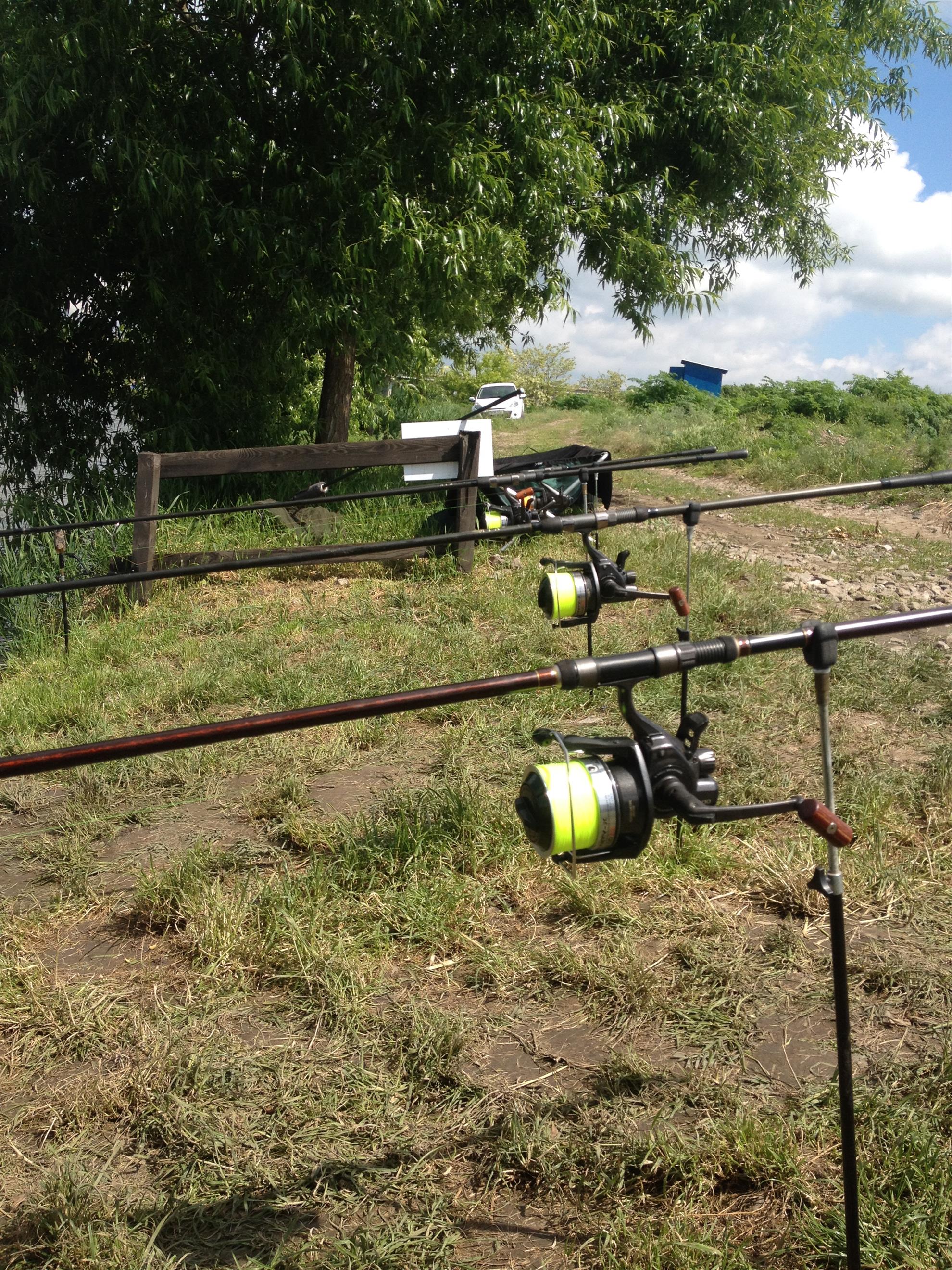 sulimanu - img1214.JPG